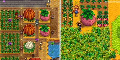 stardew valley giant crops